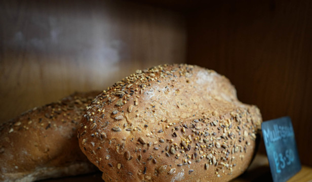 The Bread Guy: Crafting Excellence in Every Loaf