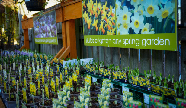 Inverurie Garden Centre - steeped with horticultural heritage and community spirit