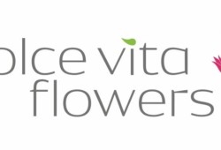 Dolce Vita Flowers