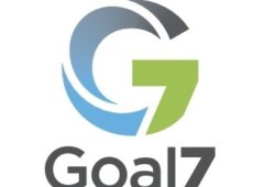 Goal 7