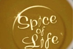 Spice of life Indian Cuisine